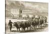 A Bullock Wagon Crossing the Great Plains Between St. Louis and Denver, C.1870, from 'American…-null-Stretched Canvas