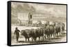 A Bullock Wagon Crossing the Great Plains Between St. Louis and Denver, C.1870, from 'American…-null-Framed Stretched Canvas