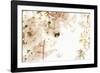 A Bumblebee Sits in Her Paradise: Ornamental Cherry Tree Blossoms in Full Splendour-Petra Daisenberger-Framed Photographic Print