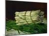 A bunch of asparagus.Oil on canvas, 1880 44 x 54 cm-Edouard Manet-Mounted Giclee Print