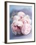 A Bunch of Pink Pastel Roses on a Blue Satin Background-Eugenio Franchi-Framed Photographic Print