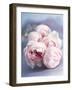 A Bunch of Pink Pastel Roses on a Blue Satin Background-Eugenio Franchi-Framed Photographic Print