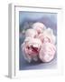 A Bunch of Pink Pastel Roses on a Blue Satin Background-Eugenio Franchi-Framed Photographic Print