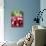 A Bunch of Radishes-Vanessa Colin-Photographic Print displayed on a wall