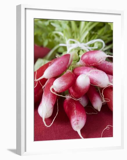 A Bunch of Radishes-Vanessa Colin-Framed Photographic Print