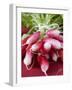 A Bunch of Radishes-Vanessa Colin-Framed Photographic Print