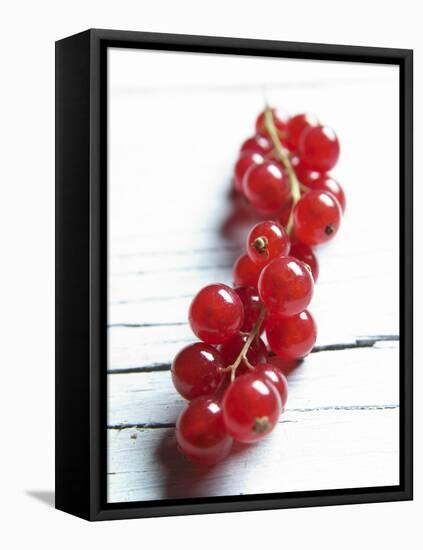 A Bunch of Redcurrants-Brigitte Wegner-Framed Stretched Canvas