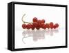 A Bunch of Redcurrants-Jean Gillis-Framed Stretched Canvas