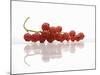 A Bunch of Redcurrants-Jean Gillis-Mounted Photographic Print