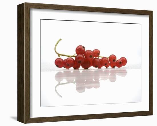 A Bunch of Redcurrants-Jean Gillis-Framed Photographic Print