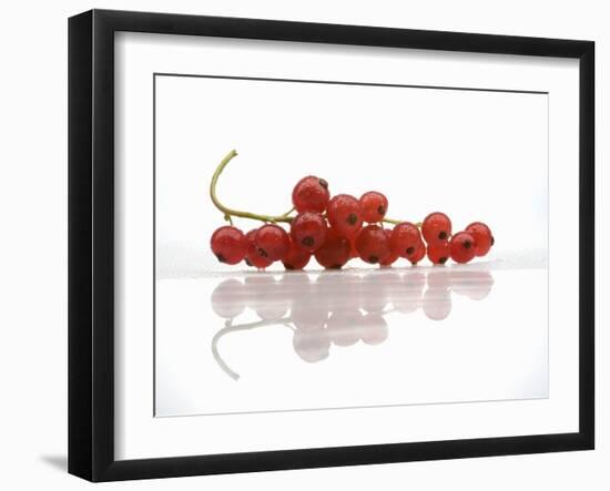A Bunch of Redcurrants-Jean Gillis-Framed Photographic Print