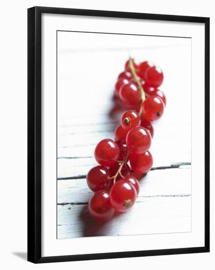 A Bunch of Redcurrants-Brigitte Wegner-Framed Photographic Print