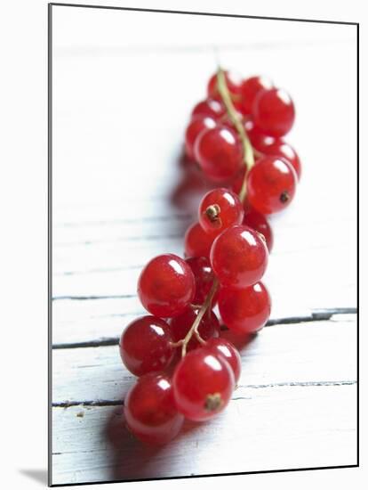 A Bunch of Redcurrants-Brigitte Wegner-Mounted Photographic Print