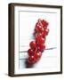 A Bunch of Redcurrants-Brigitte Wegner-Framed Photographic Print