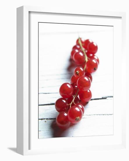 A Bunch of Redcurrants-Brigitte Wegner-Framed Photographic Print