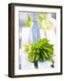 A Bunch of Spinach-null-Framed Photographic Print