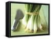 A Bunch of Spring Onions-Michael Paul-Framed Stretched Canvas