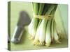 A Bunch of Spring Onions-Michael Paul-Stretched Canvas