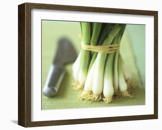 A Bunch of Spring Onions-Michael Paul-Framed Photographic Print