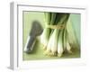 A Bunch of Spring Onions-Michael Paul-Framed Photographic Print