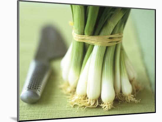 A Bunch of Spring Onions-Michael Paul-Mounted Photographic Print