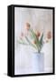 A bunch of tulips-Delphine Devos-Framed Stretched Canvas