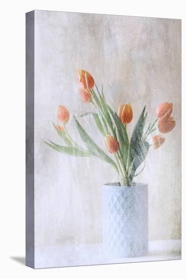 A bunch of tulips-Delphine Devos-Stretched Canvas