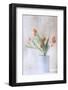 A bunch of tulips-Delphine Devos-Framed Photographic Print