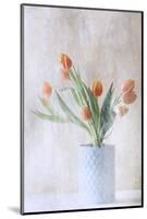 A bunch of tulips-Delphine Devos-Mounted Photographic Print