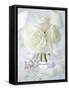 A Bunch of White Roses in a Glass Vase-Ira Leoni-Framed Stretched Canvas