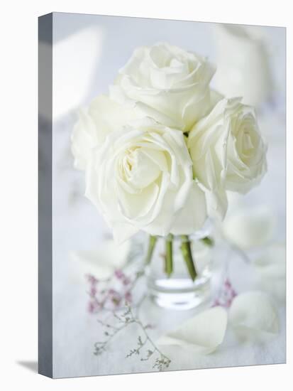 A Bunch of White Roses in a Glass Vase-Ira Leoni-Stretched Canvas