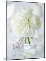 A Bunch of White Roses in a Glass Vase-Ira Leoni-Mounted Photographic Print