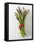 A Bundle of Green Asparagus-Paul Williams-Framed Stretched Canvas