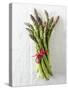 A Bundle of Green Asparagus-Paul Williams-Stretched Canvas