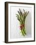 A Bundle of Green Asparagus-Paul Williams-Framed Photographic Print