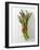 A Bundle of Green Asparagus-Paul Williams-Framed Photographic Print