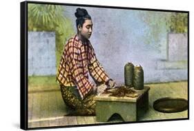 A Burmese Woman Making Cigars, C1900s-null-Framed Stretched Canvas