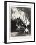 A Bush Fire by Night, Canada, Nineteenth Century-null-Framed Giclee Print