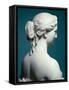 A Bust of Proserpine (White Marble)-Hiram Powers-Framed Stretched Canvas