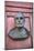 A Bust on the Door of Mariacki Door-debstheleo-Mounted Photographic Print