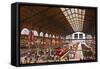 A Busy Gare Du Nord Station in Paris, France, Europe-Julian Elliott-Framed Stretched Canvas