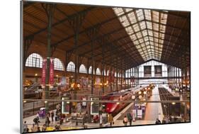 A Busy Gare Du Nord Station in Paris, France, Europe-Julian Elliott-Mounted Photographic Print