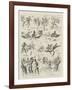 A Butterfly Hunt, the Adventures of an Entomologist in Africa-Alexander Stuart Boyd-Framed Giclee Print