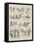 A Butterfly Hunt, the Adventures of an Entomologist in Africa-Alexander Stuart Boyd-Framed Stretched Canvas