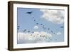 A C-130 Hercules Drop U.S. Army Airborne Troops over Maryland-null-Framed Photographic Print