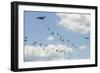 A C-130 Hercules Drop U.S. Army Airborne Troops over Maryland-null-Framed Photographic Print