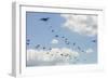 A C-130 Hercules Drop U.S. Army Airborne Troops over Maryland-null-Framed Photographic Print