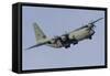 A C-130J Super Hercules of the Royal Australian Air Force-Stocktrek Images-Framed Stretched Canvas