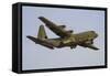 A C-130J Super Hercules of the Royal Australian Air Force-Stocktrek Images-Framed Stretched Canvas