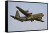 A C-130J Super Hercules of the Royal Australian Air Force-Stocktrek Images-Framed Stretched Canvas